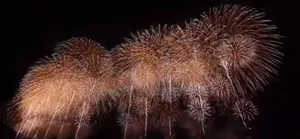 Fireworks for Wedding ,Building Site Opening,Introduction,Party Fun