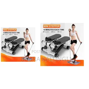 Mini Stepper Machine