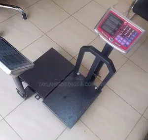180kg Electronic Platform Scale Digital Weighing Scale