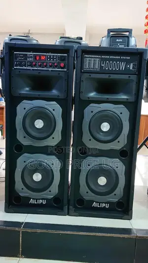 Ailipu Professional Sound Speaker System
