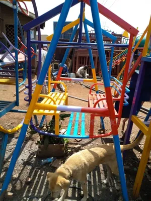 Basket Swing