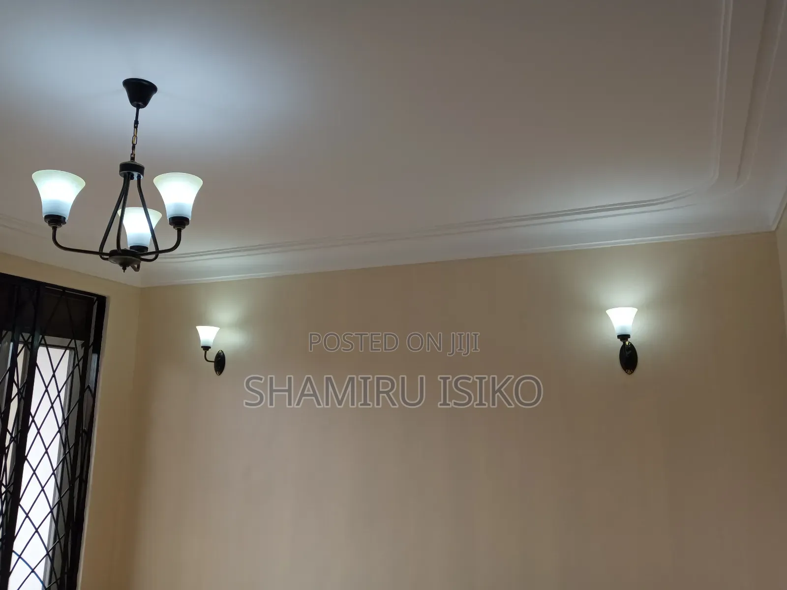 Professional Electricians