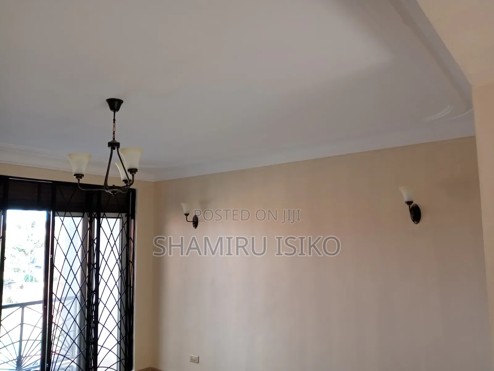 Professional Electricians