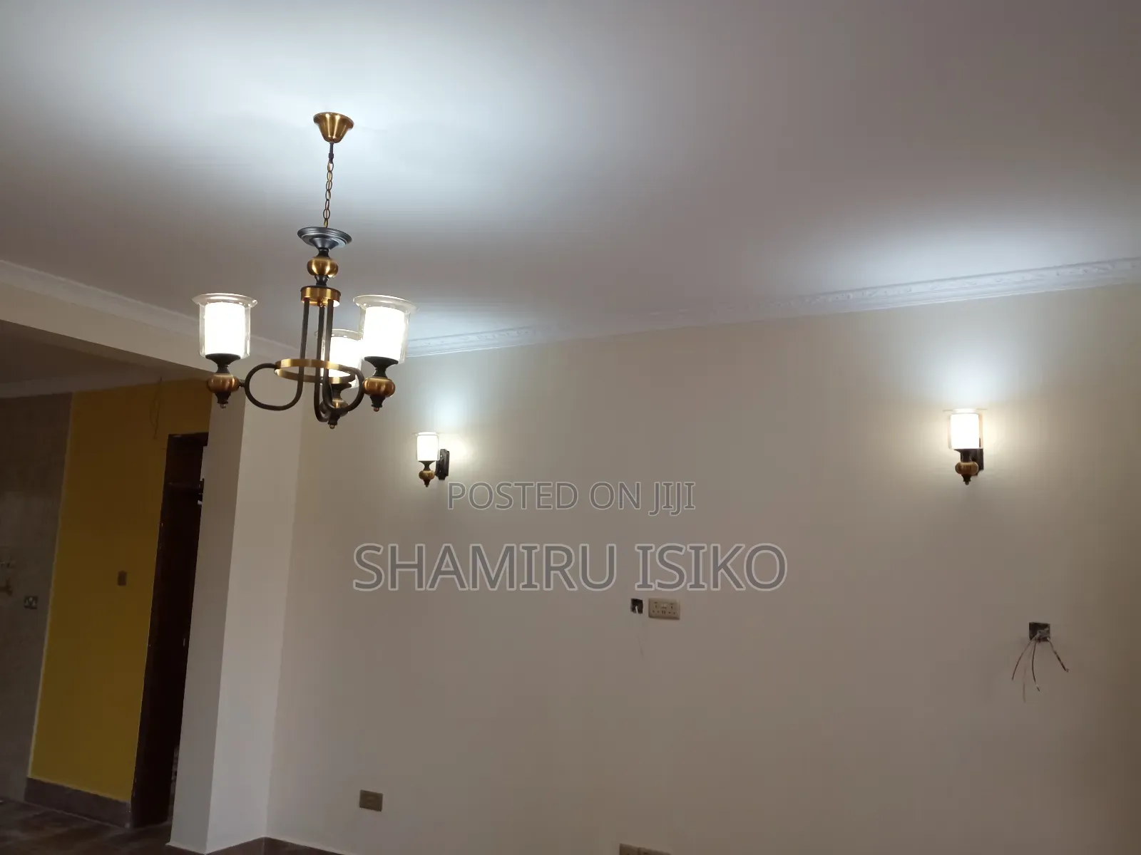 Professional Electricians
