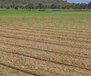 Drip Irrigation Full Set 1 Acre With Installation