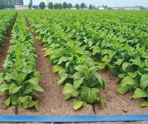Drip Irrigation Full Set 1 Acre With Installation