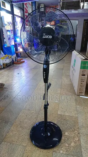 Lucid 16 Inch Stand Fan
