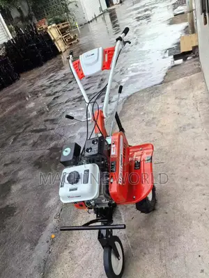 Garden Tiller Easy Power (Petrol Engine170f)
