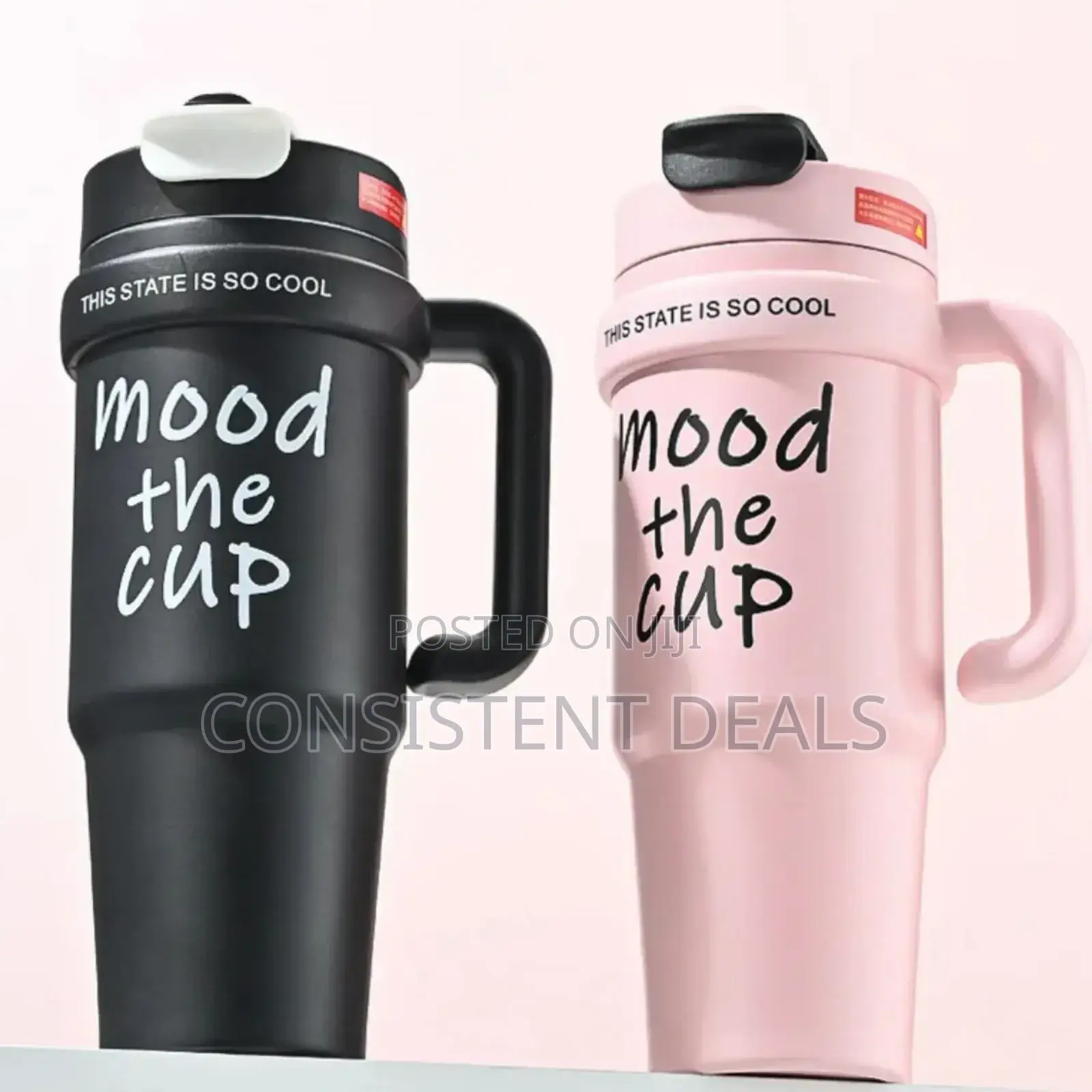 Insulated Thermo Vacuum Mug