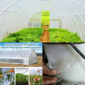 UV Stabilised Greenhouse Roofing Polythene Sheet(11.5x35mtr)