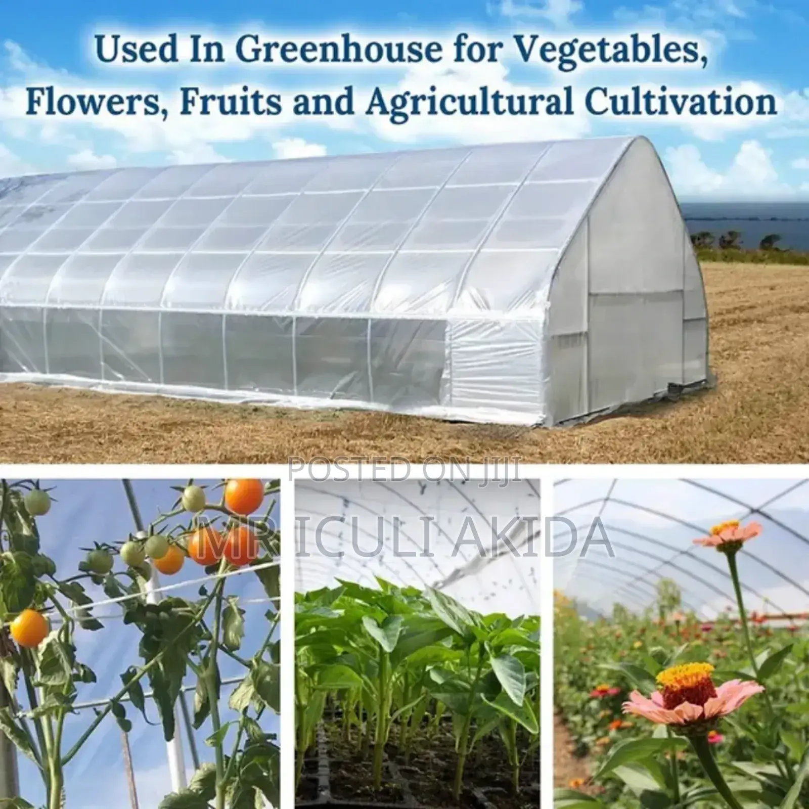 UV Treated Solar Dryer/Greenhouse Polythene Sheet(11.5x35m)
