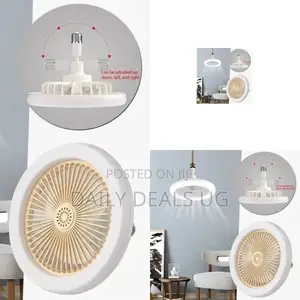 Portable Fan Light