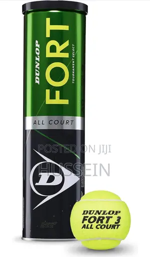 DUNLOP Tennis Ball Fort All Court TS