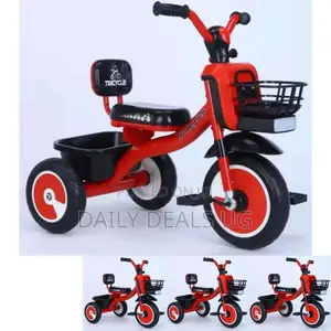 3 in 1 Kids Bicycle
