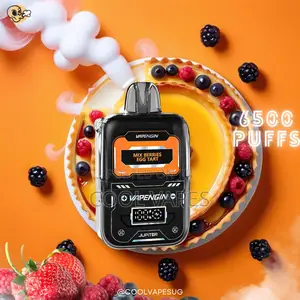 Vapengin 6500 Pod System Refillable Vape