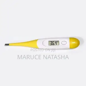 Digital Thermometer