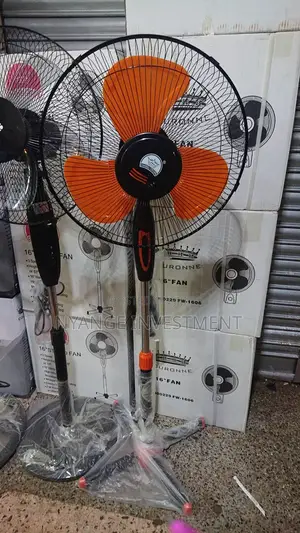Changli Crown Stand Fan