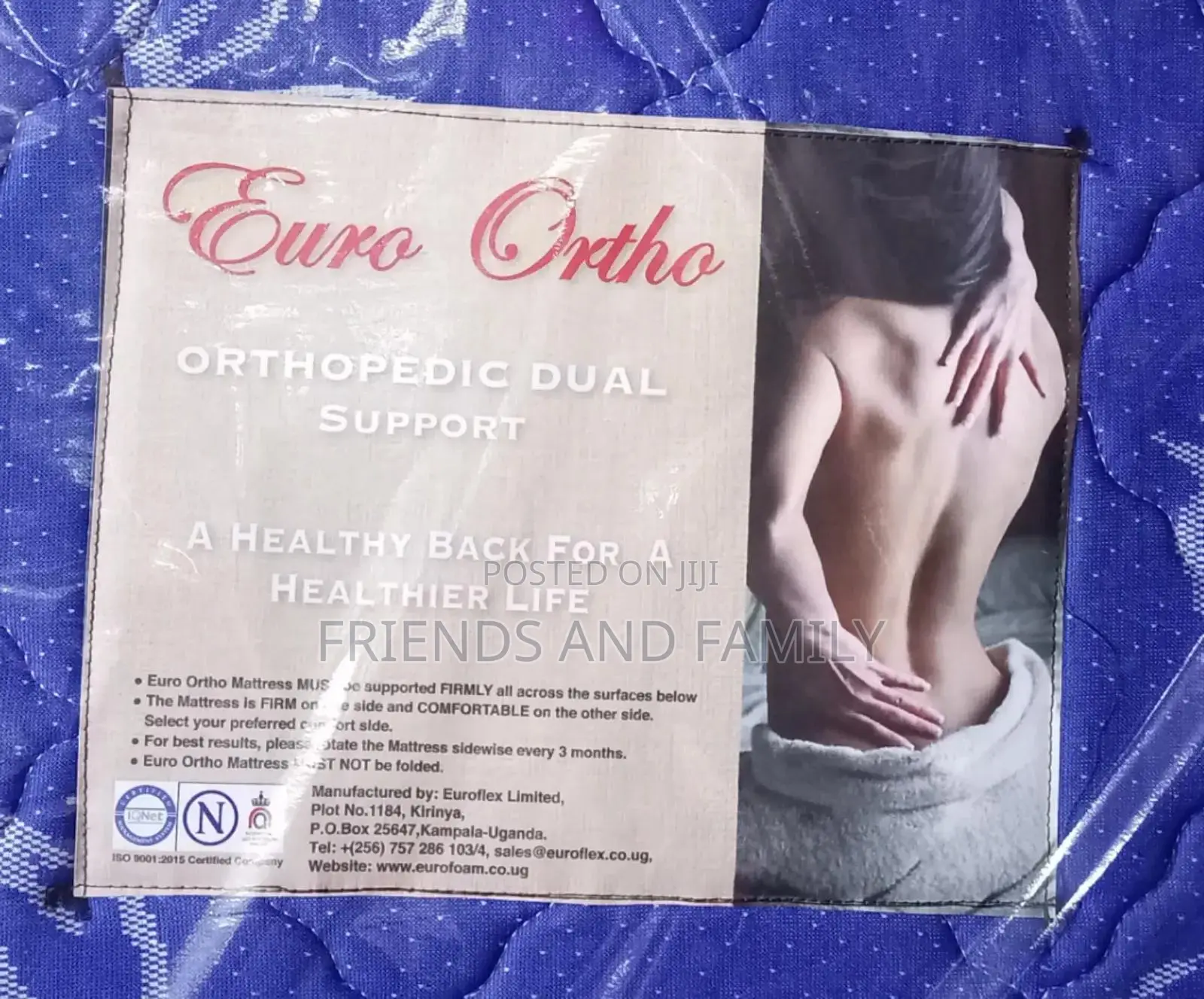 Orthopedic Euro Foam 6*5*6. Inches