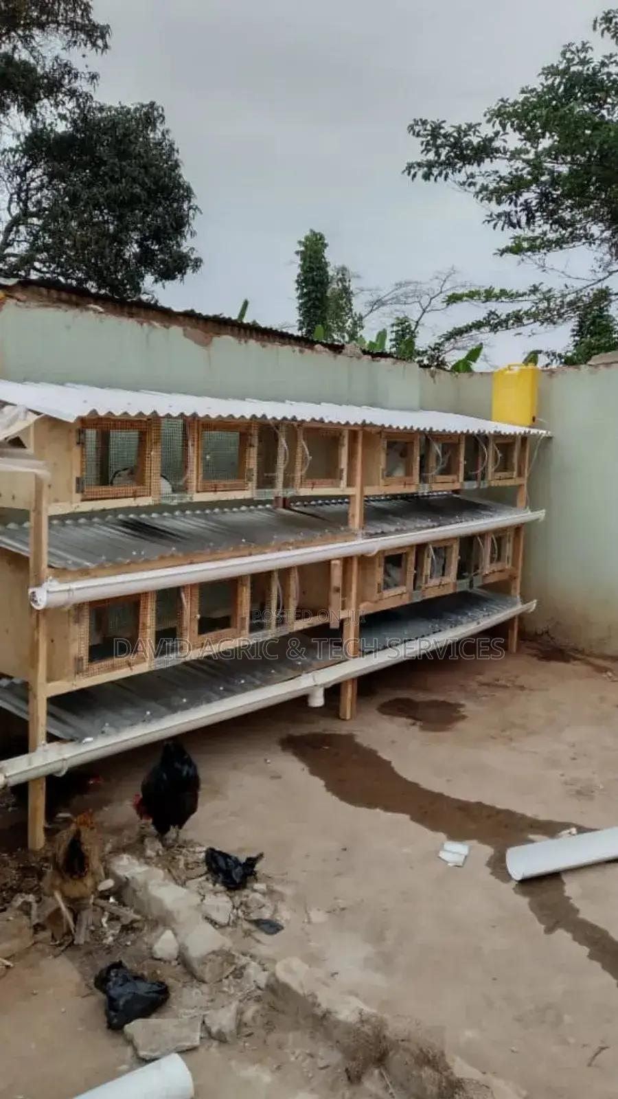 Rabbit Cages and Rabbit Breeders