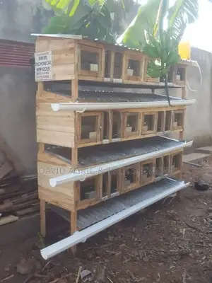 Rabbit Cages and Rabbit Breeders