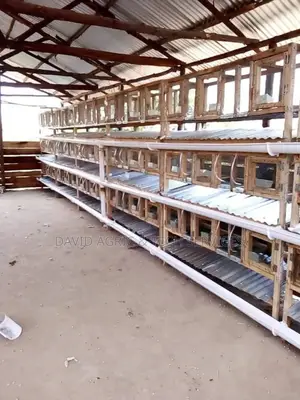 Rabbit Cages and Rabbit Breeders