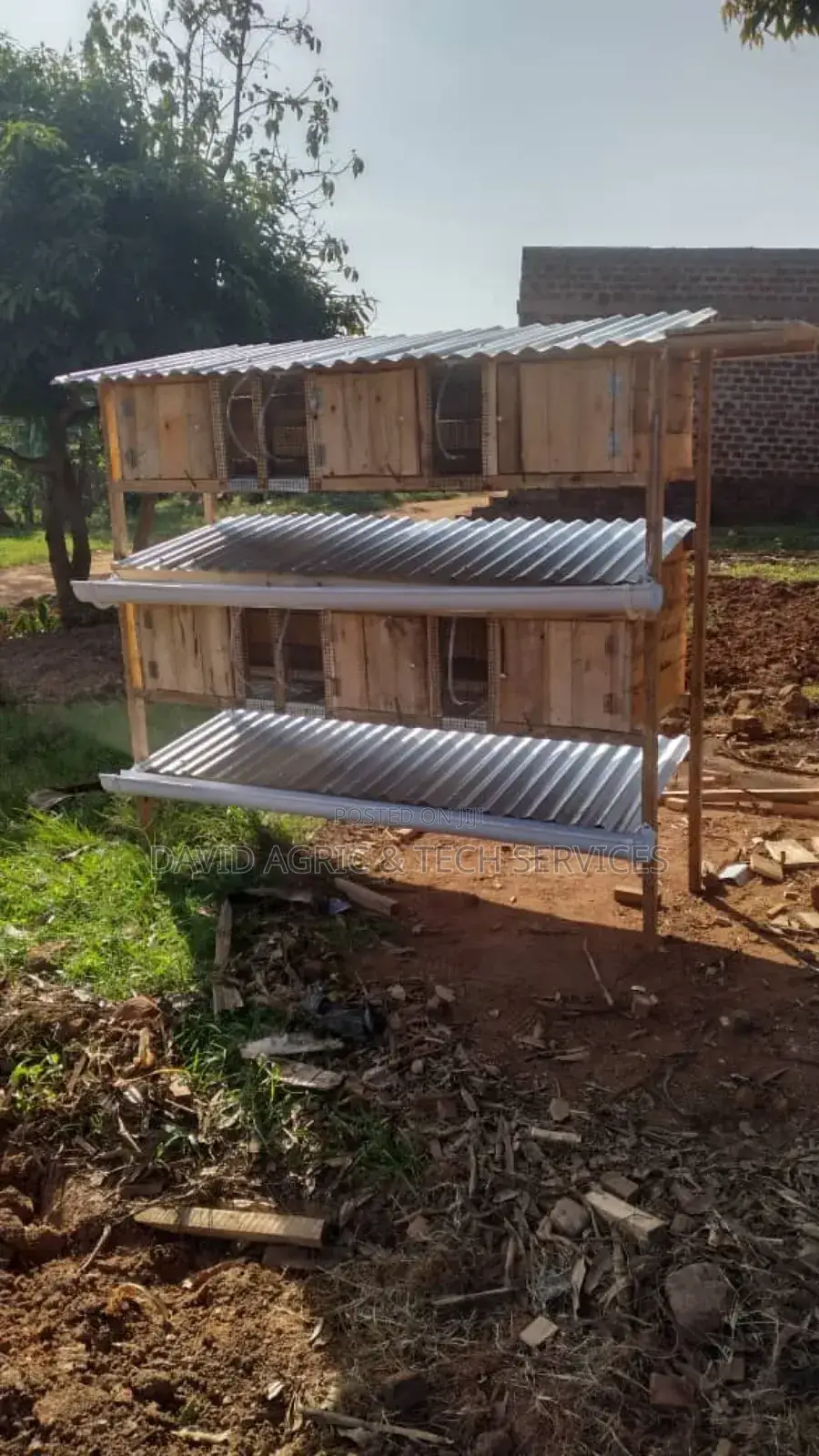 Rabbit Cages and Rabbit Breeders