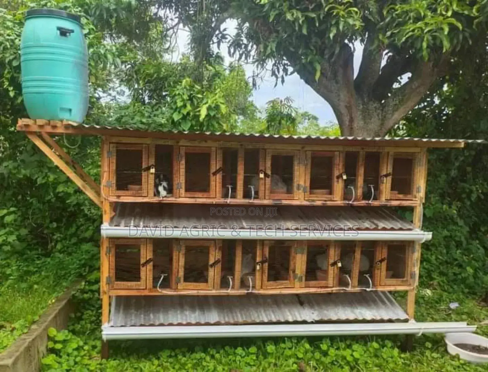 Rabbit Cages and Rabbit Breeders