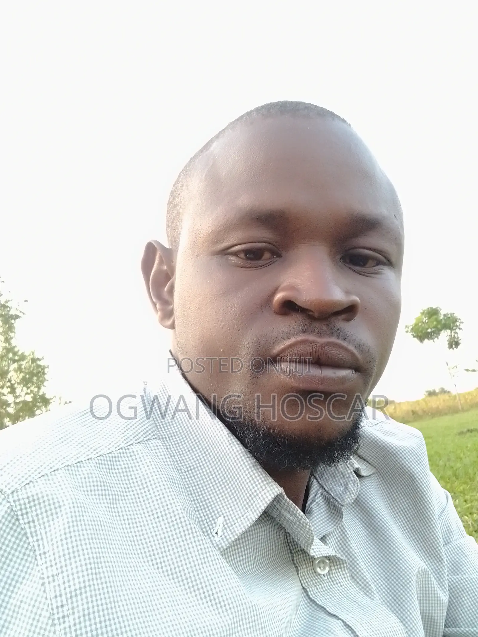Primary School Mathematics Teacher