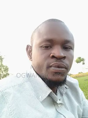 Primary School Mathematics Teacher