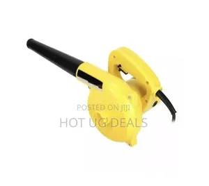 Electric Air Dust Blower for Removing Dust From Cars, Office