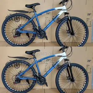 Adults Bicycle