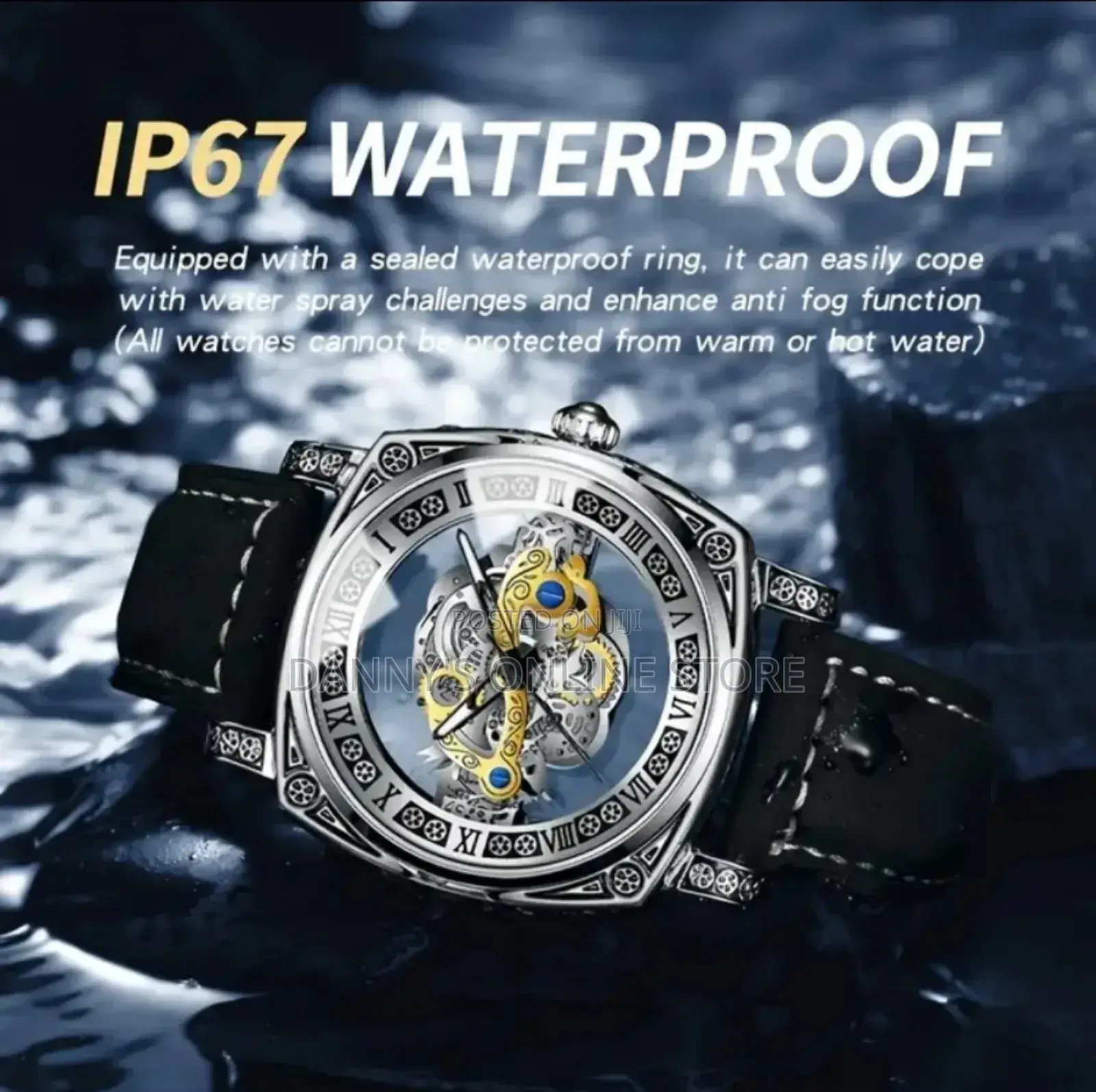 Luxurious Mechanical Watch