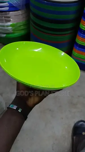 Plastic Plastic (Dinner  Plates 12pcs)