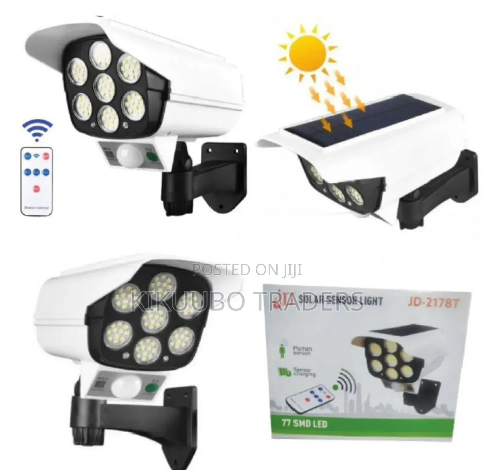 Solar Power Motion Sensor Light
