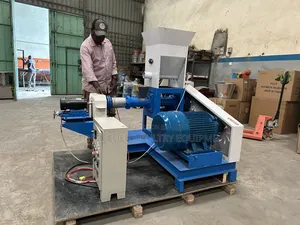 60 Extruder