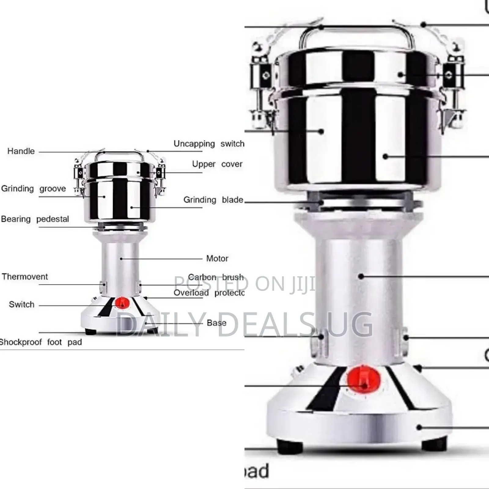 Electric Spice Grinder