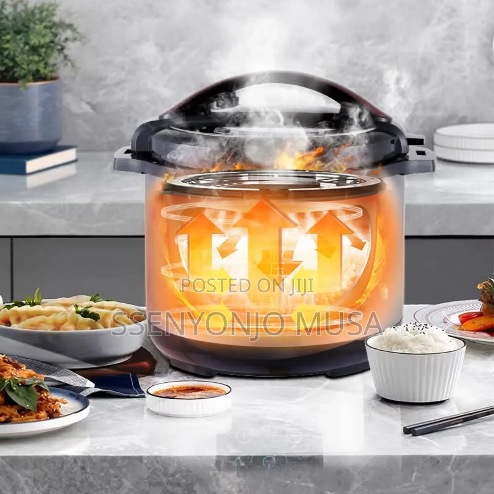 Winningstar 10l Multi-Function Electric Pressure Cooker-