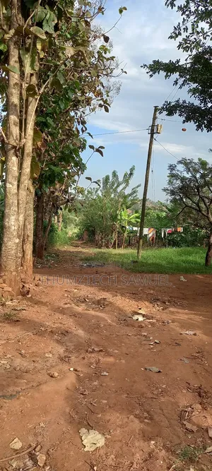 Titled 50x100ft Plot for Sale at Katikamu