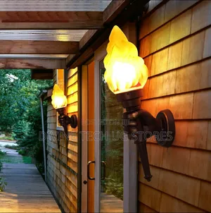 Wall Light Outdoor Waterproof Torch Arm Light