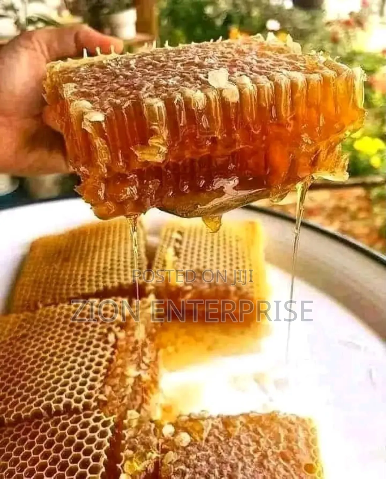 Suppliers of Honey