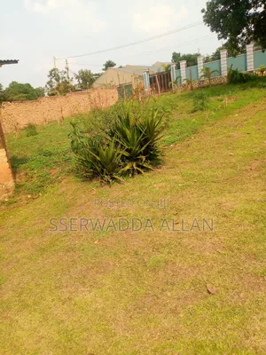 100 X 100ft Plot in Kiteezi for Sale