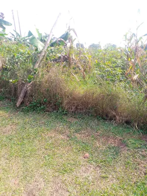 100 X 100ft Plot in Kiteezi for Sale