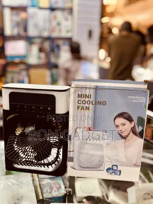 Fan With Humidifier