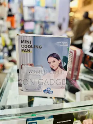 Fan With Humidifier