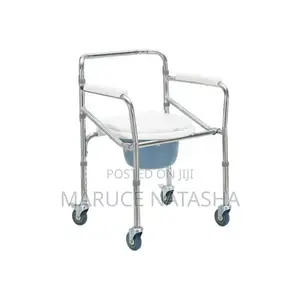 Bedside Commode Adult Potty