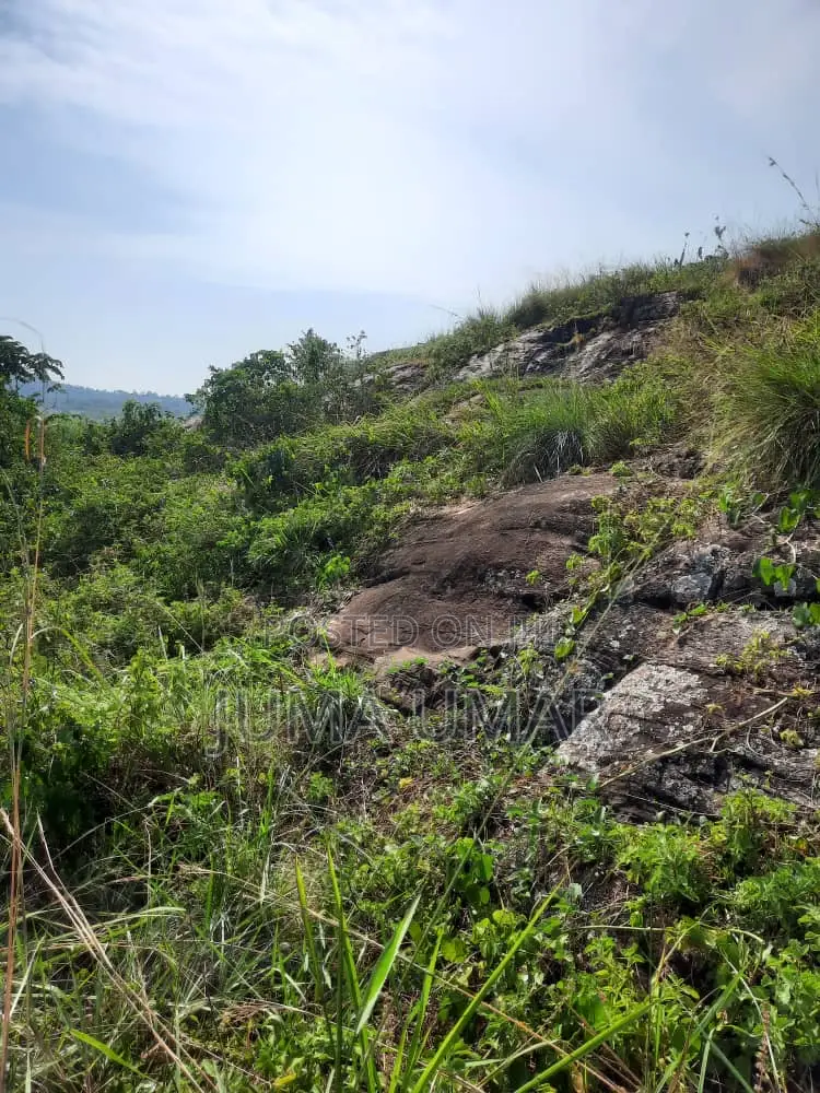 Rocky Land for Quarry.