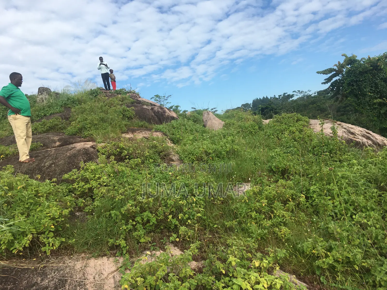 Rocky Land for Quarry.
