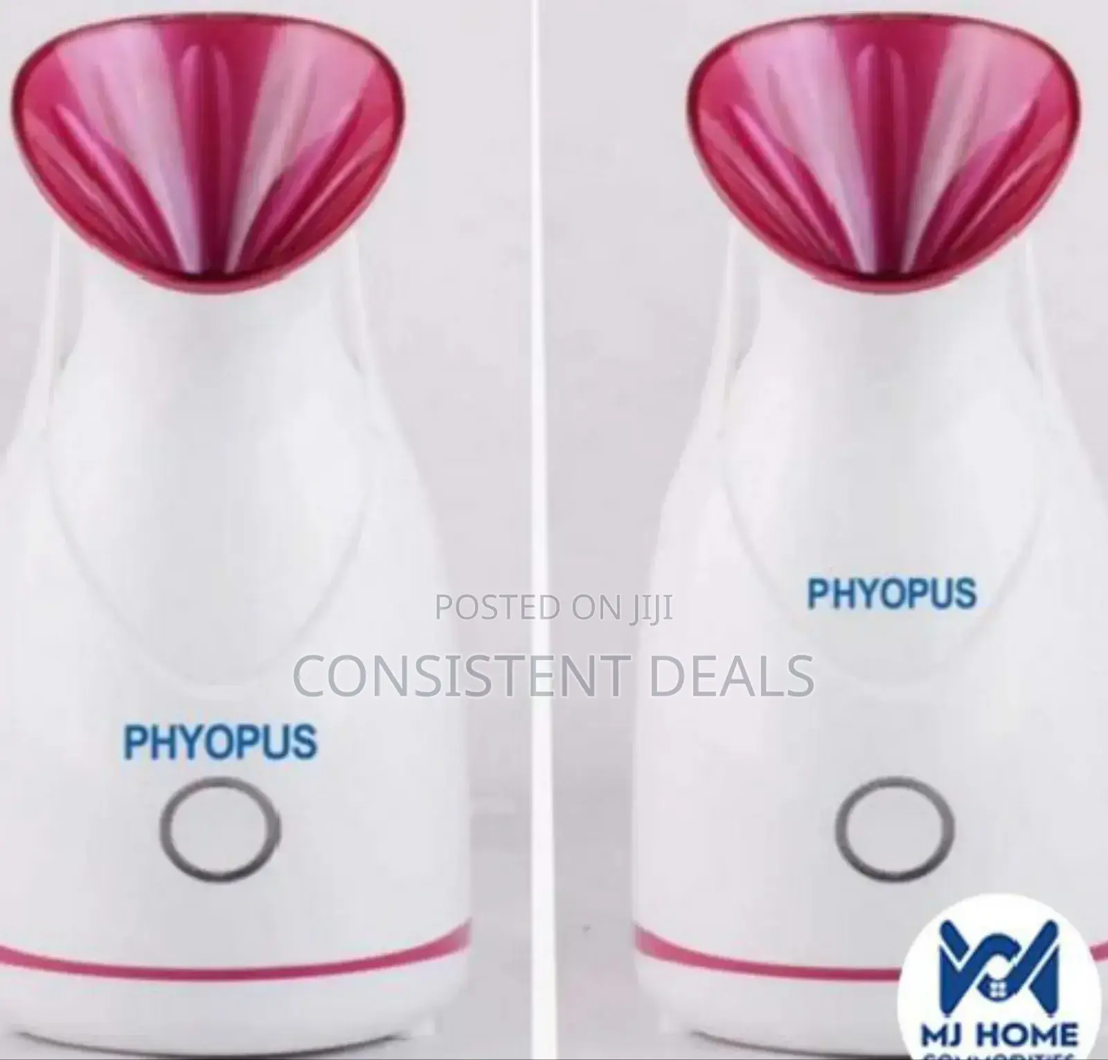 Pyhopus Nano Facial Steamer
