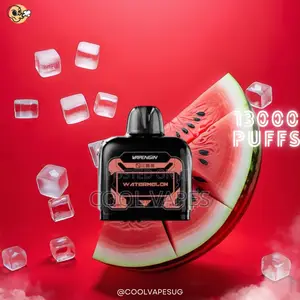 Vapengin 13000 Puffs Refillable Pod (Kits Available)