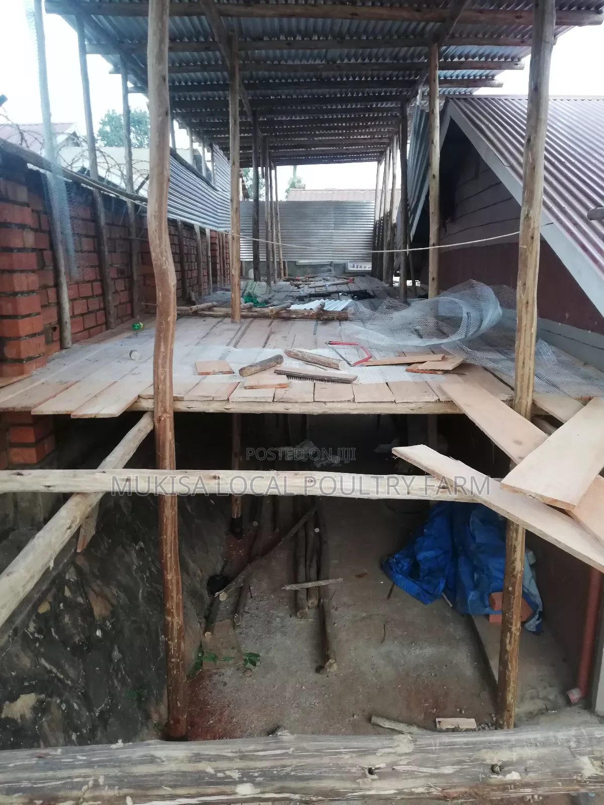 Poultry House Construction